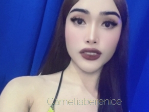 Cameliaberenice
