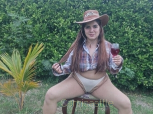 Camicasttle