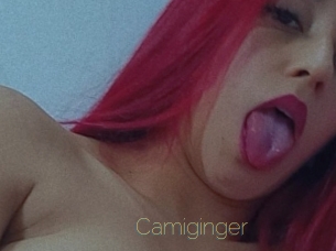 Camiginger
