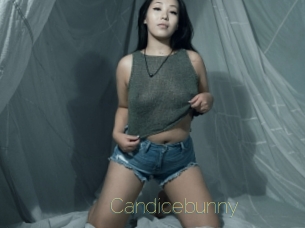 Candicebunny