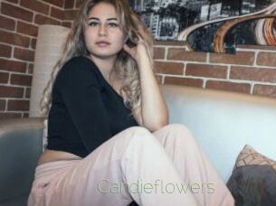 candieflowers Visio Tchats