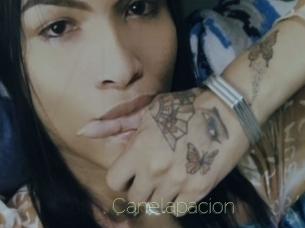 Canelapacion