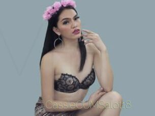 CassieCUMSalot18