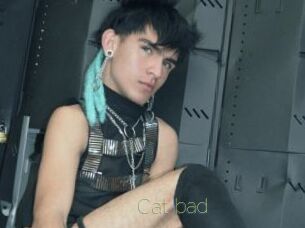 Cat_bad