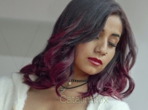 Catalinafox