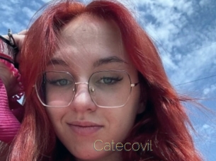Catecovil