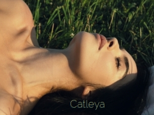 Catleya