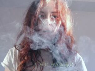 Cato_avocato