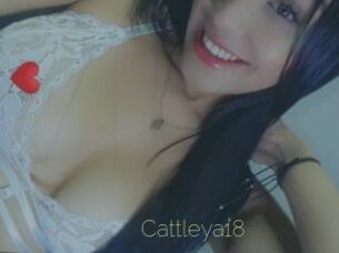 Cattleya18
