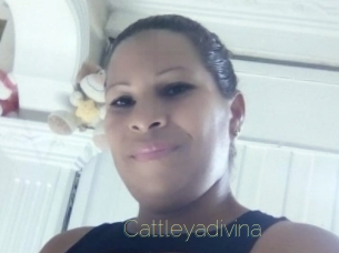 Cattleyadivina