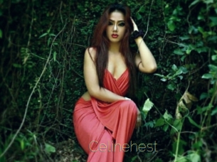 Celinehest