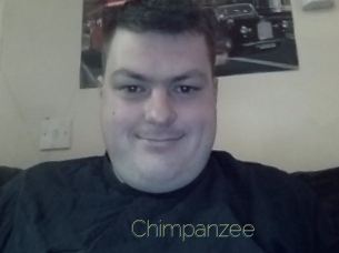Chimpanzee