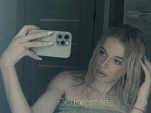 colibremaria Visio Tchats