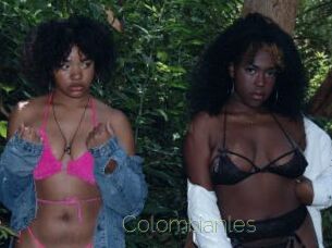 Colombianles