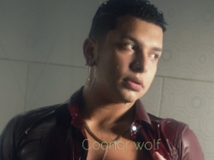 coonor_wolf Visio Tchats