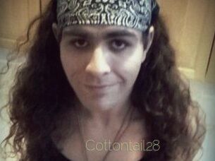 Cottontail28
