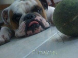 Cumalot4u