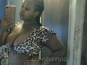 Curvybunny19