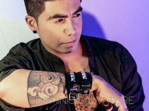 DOMINIC_SALVATORE Visio Tchats