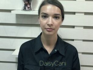 DaisyCani