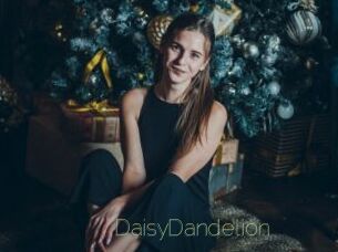 DaisyDandelion