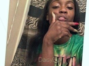 DaisyDior