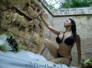 Daisydelfina