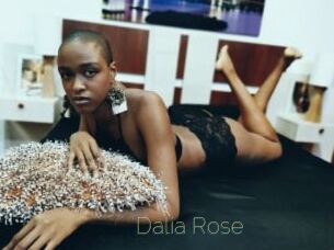 Dalia_Rose