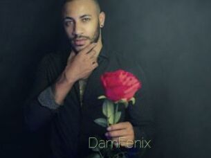 DamFenix