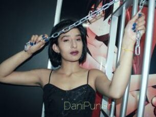 DaniPunish