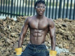 Dansmit
