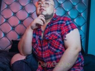 DanyBridge