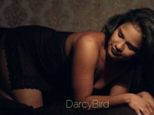 DarcyBird