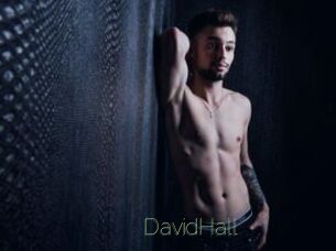 DavidHall