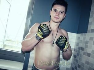 DavidVardy