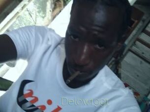 Delow1991