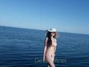DestinyAnel Visio Tchats