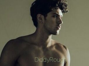 DiddyRough