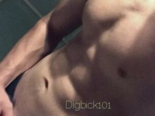 Digbick101