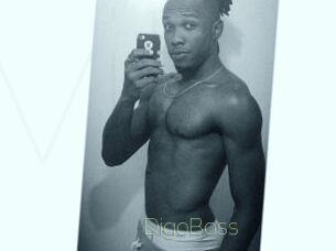 DigoBoss