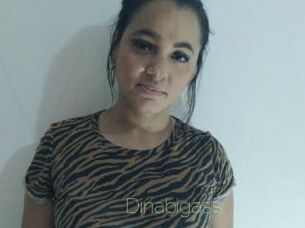 Dinabigass