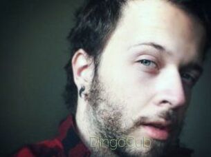 DingoCub
