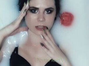 DomineerVi