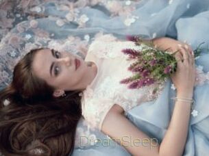 DreamSleep