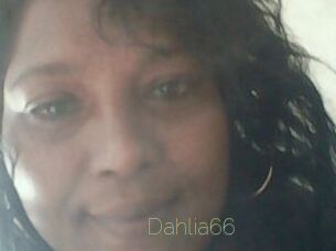 Dahlia66
