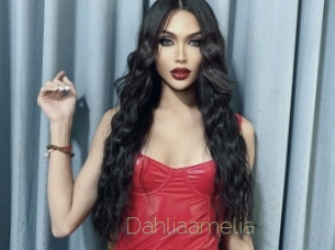 Dahliaamelia