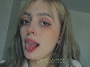 Daisyantell