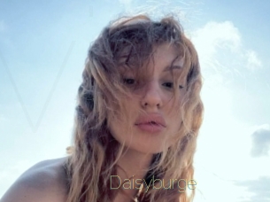 Daisyburge