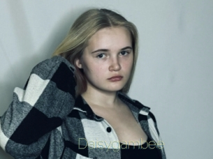 Daisygambee