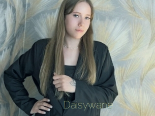 Daisywane